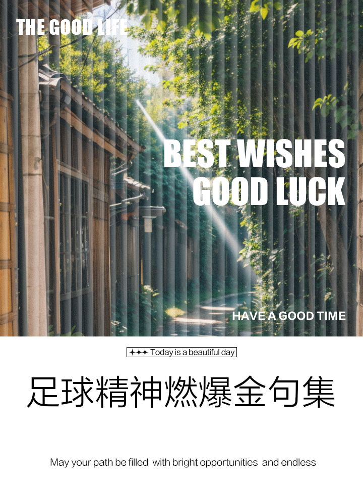 渴望胜利的心情，燃烧着每个足球爱好者的热情