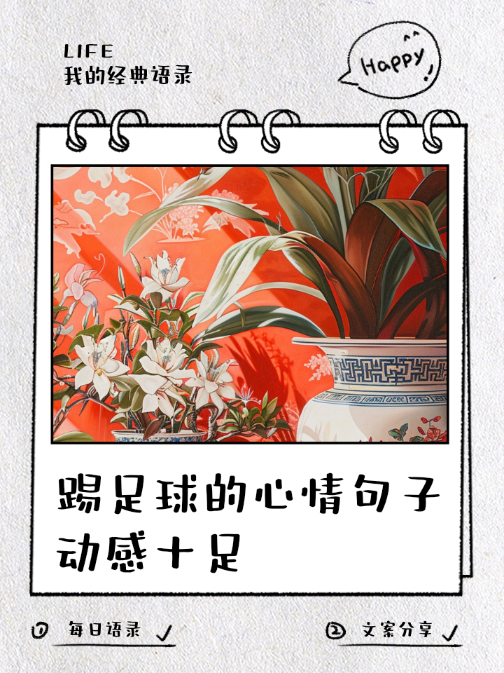 渴望胜利的心情，燃烧着每个足球爱好者的热情