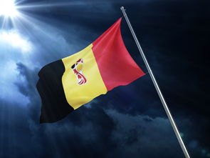 足球赛场焦点！法国队对阵韩国队，超级对决，球迷热情点燃赛场